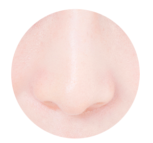 鼻